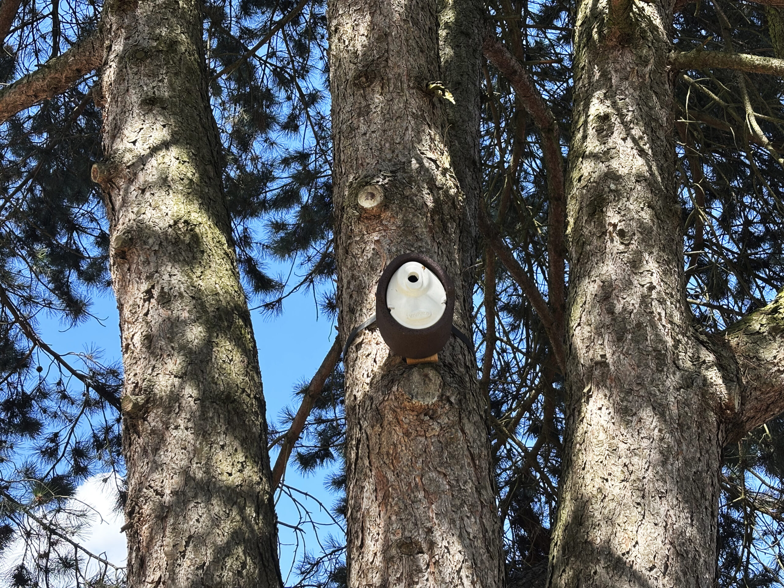 Maurepas : Ville amie des animaux